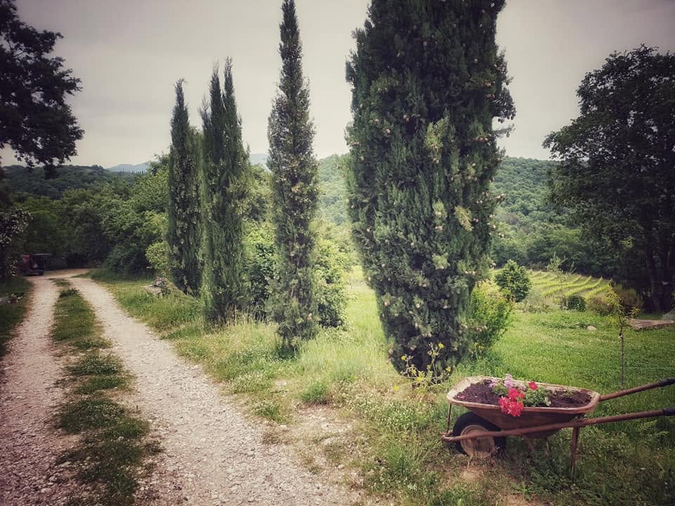 Agriturismo Fattoria La Parita - Arezzo