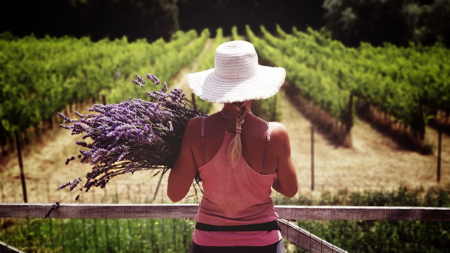 Agriturismo Fattoria La Parita - Arezzo
