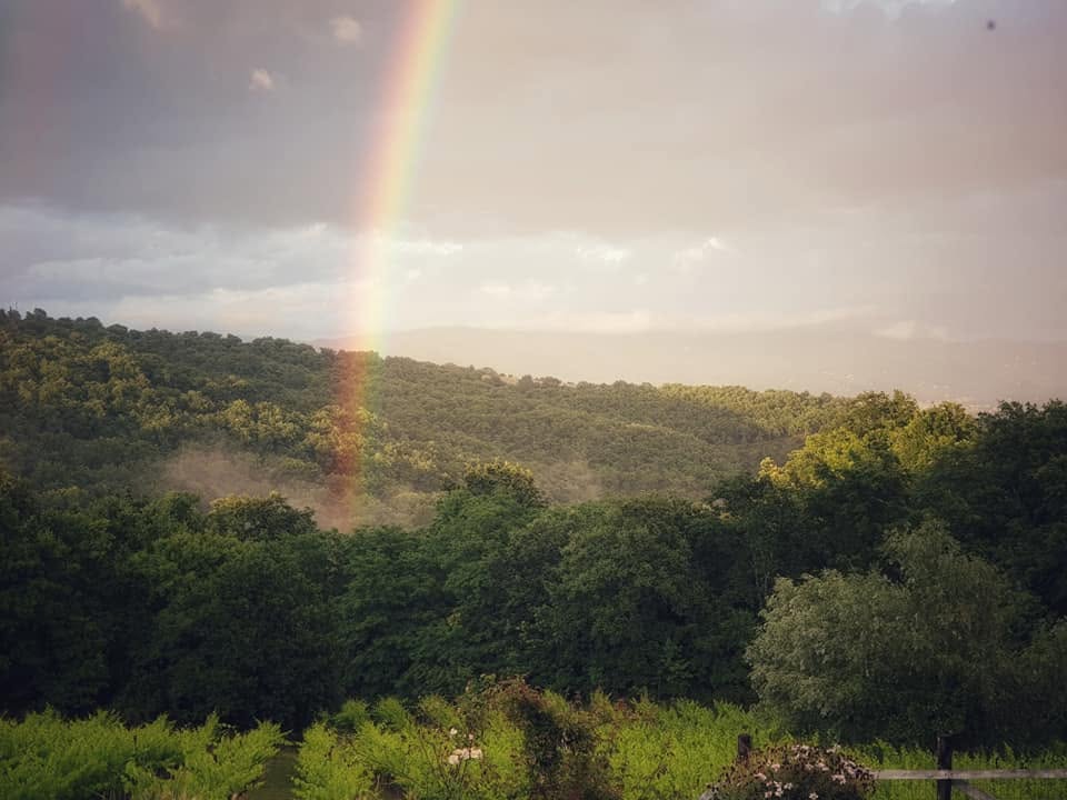 Agriturismo Fattoria La Parita - Arezzo