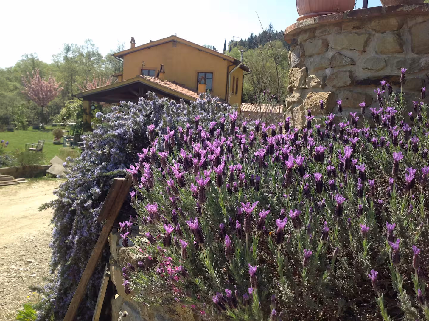 Agriturismo Fattoria La Parita - Arezzo