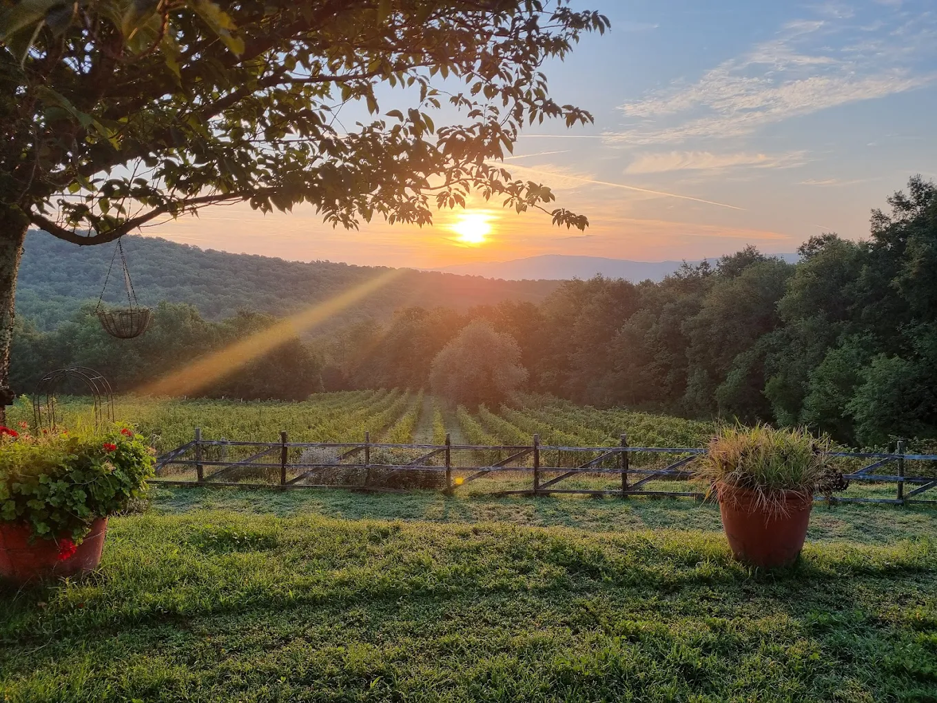 Agriturismo Fattoria La Parita - Arezzo