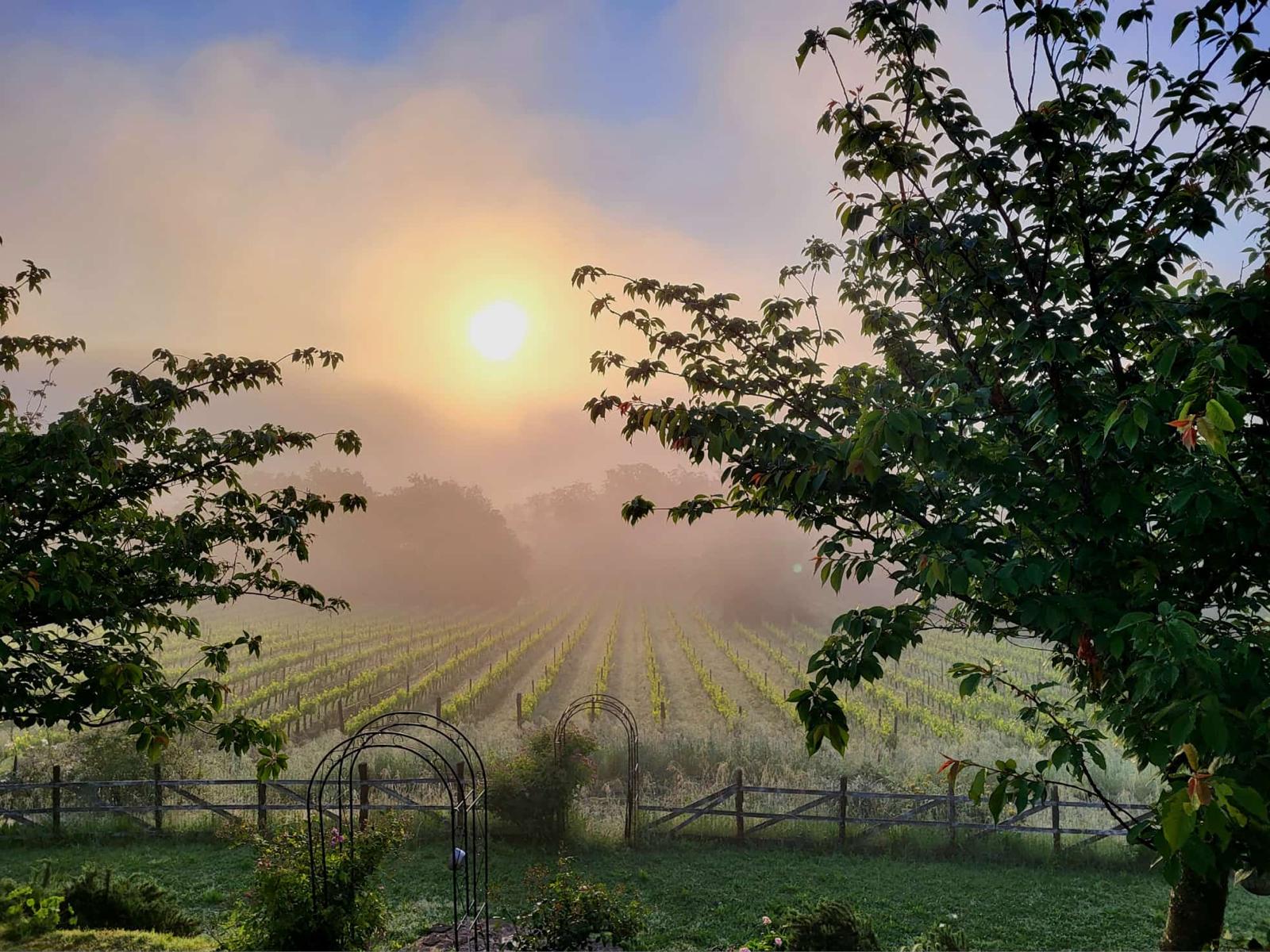 Agriturismo Fattoria La Parita - Arezzo