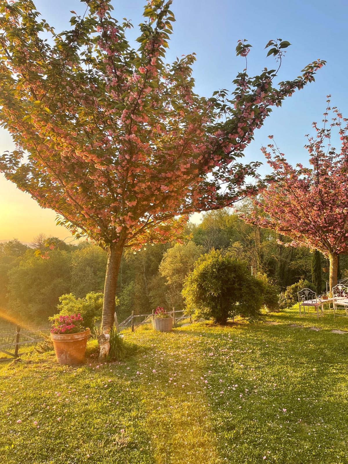 Agriturismo Fattoria La Parita - Arezzo