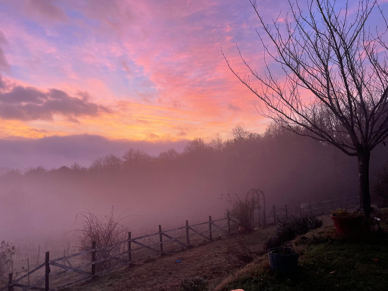 Agriturismo Fattoria La Parita - Arezzo