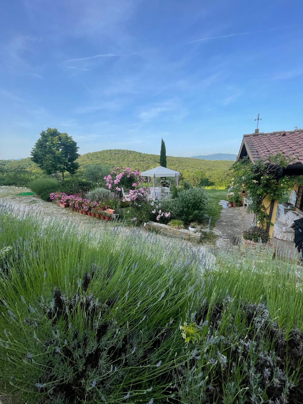 Agriturismo Fattoria La Parita - Arezzo