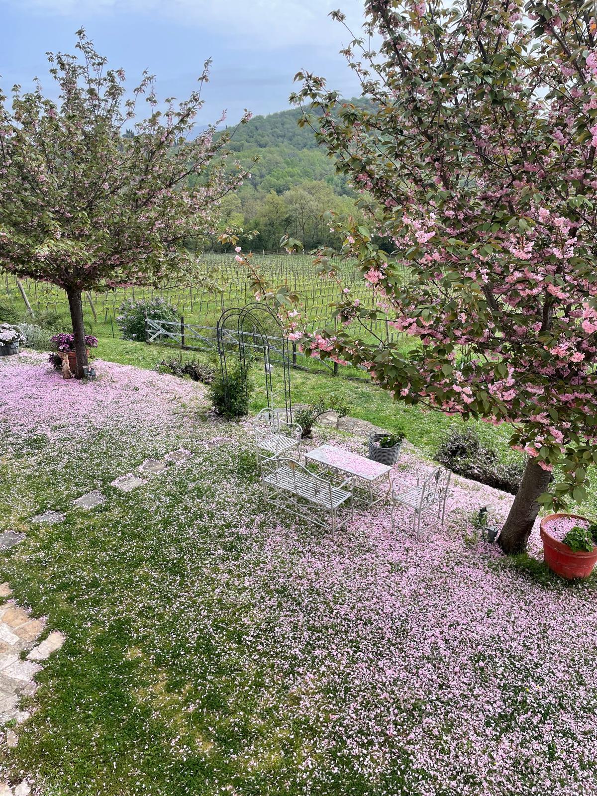Agriturismo Fattoria La Parita - Arezzo